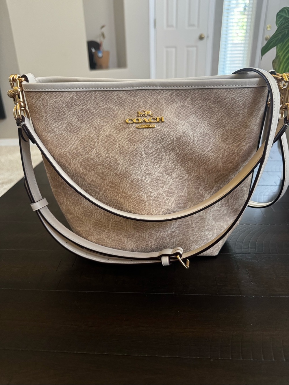 Coach Signature Crescent Shoulder Bag in Chalk/Beige